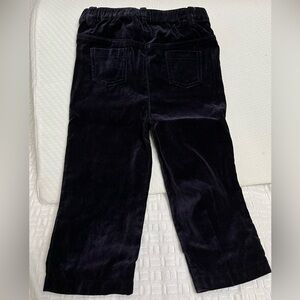 Edgehill 24month velvet pants